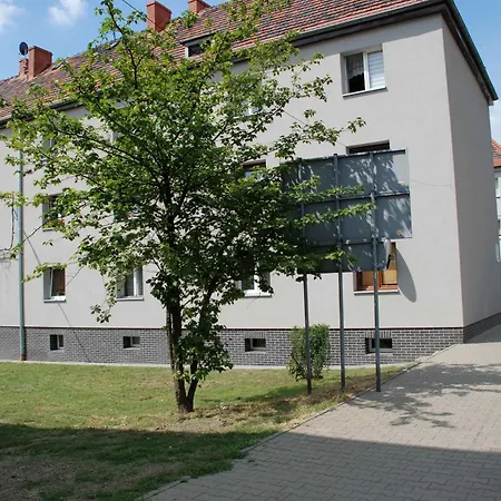 Morcinka Daire *
